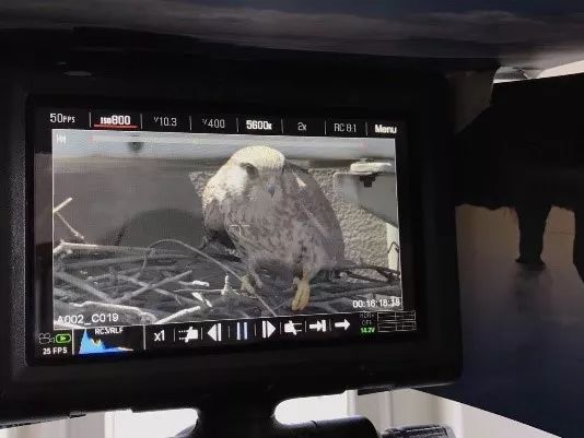 劲草嘉年华最新视频,2023年劲草嘉年华