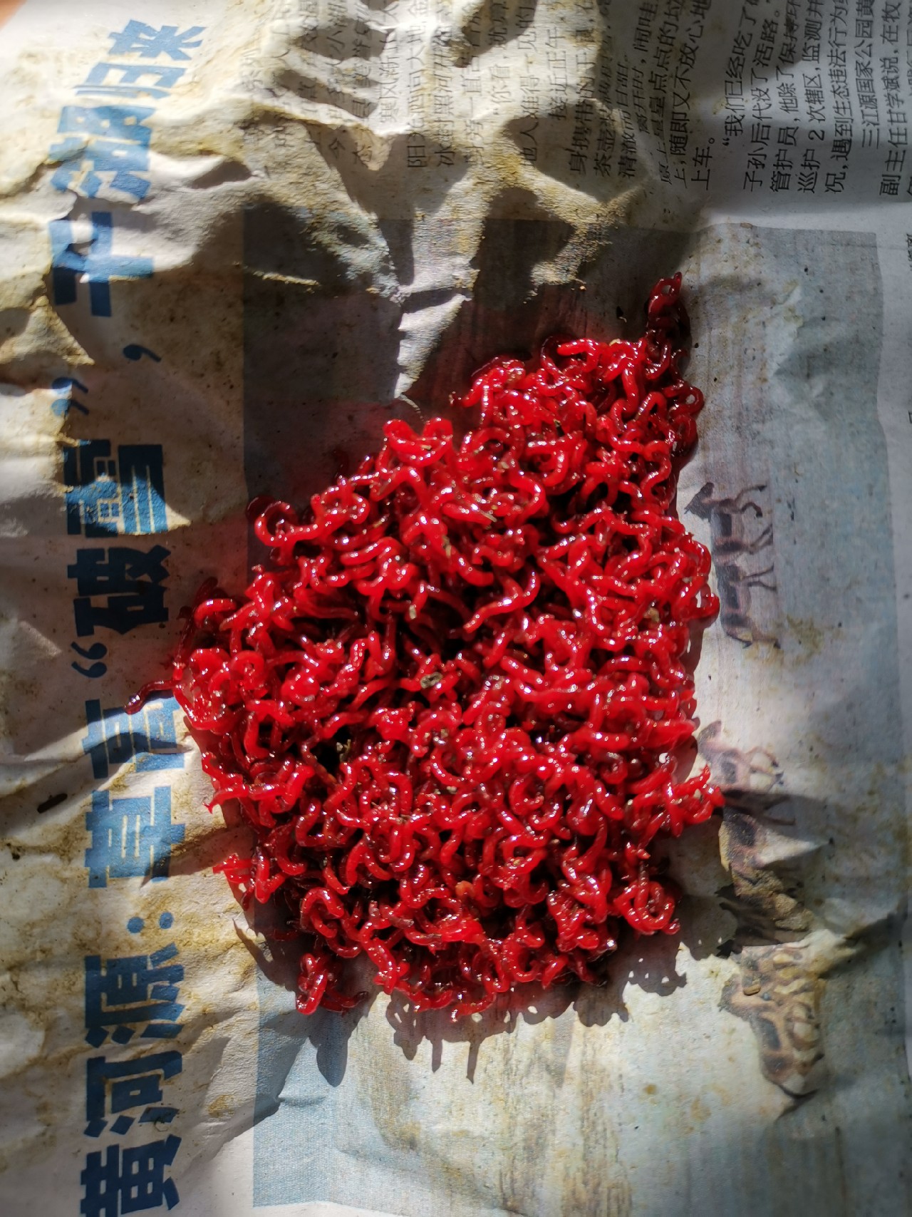 传统钓轻装上阵,传统钓装备怎么做到轻松又舒服