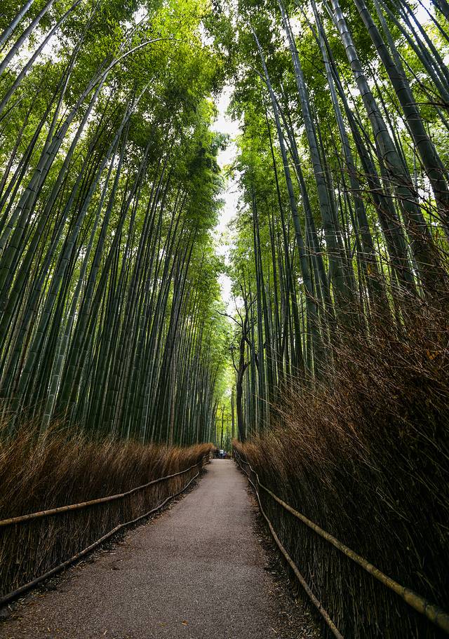 15天关西自由行,日本关东7日自由行