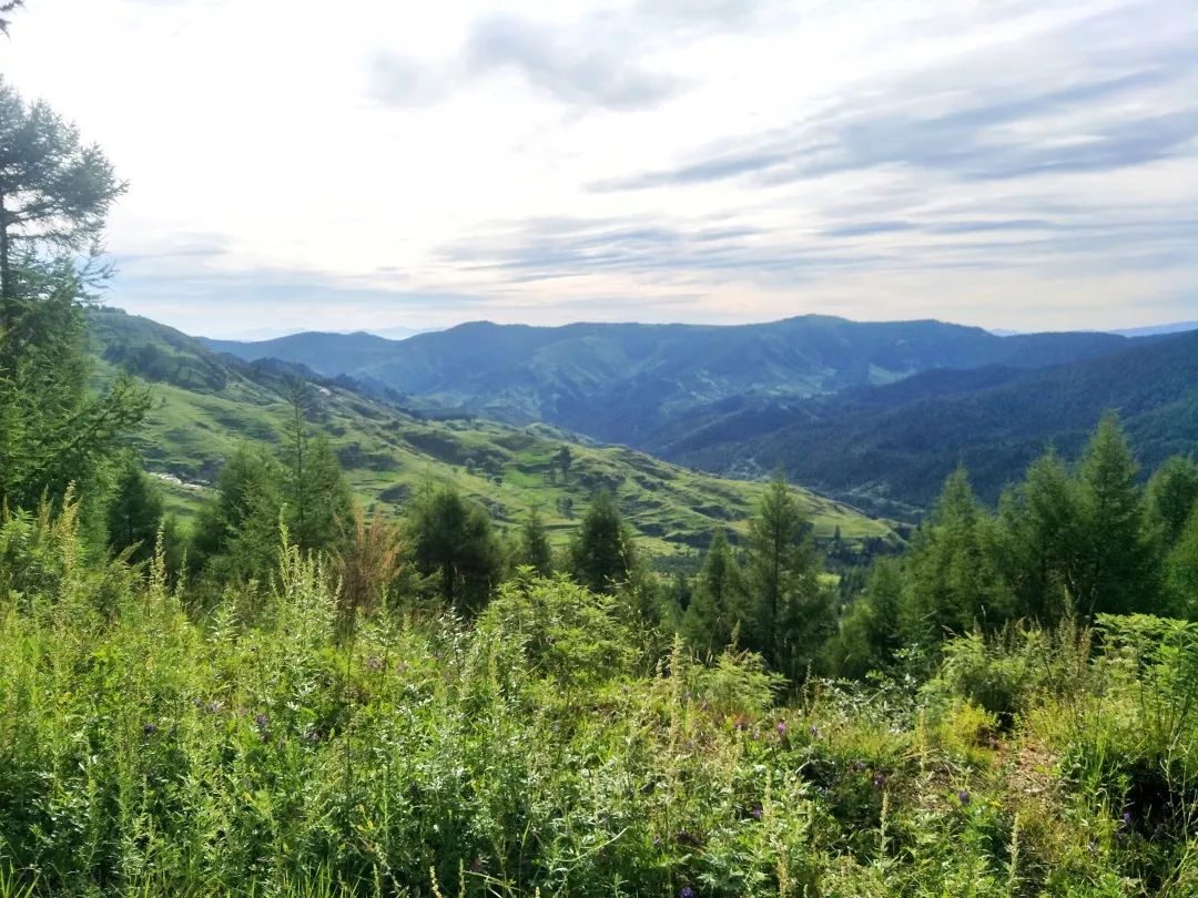 中国宝石最多的地方视频,中国四大宝石是哪四种