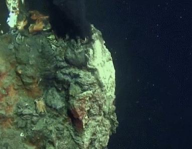 外星生物会长什么样子,外星生物真的存在吗