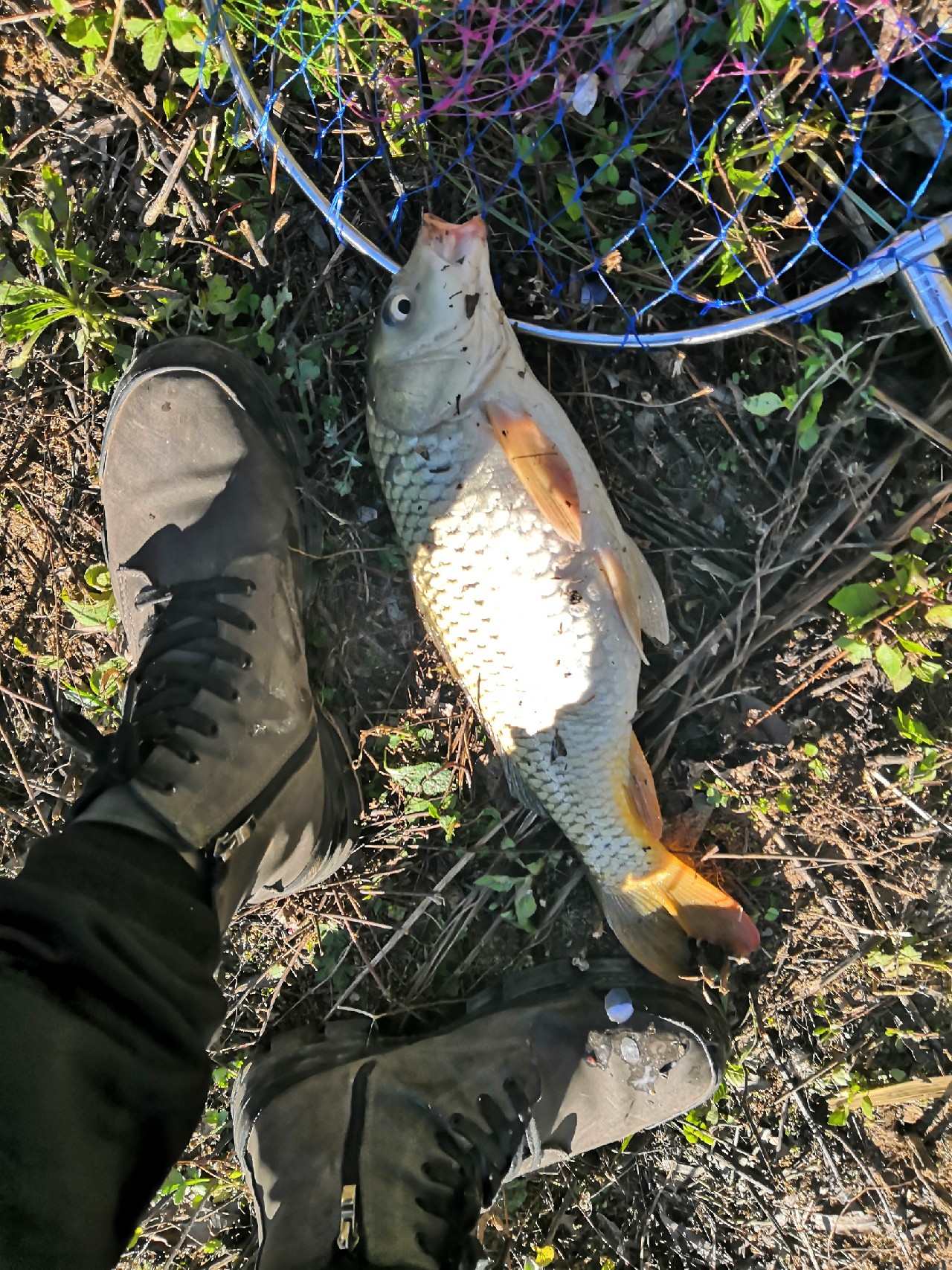 野钓桥边钓点,野钓探寻钓位
