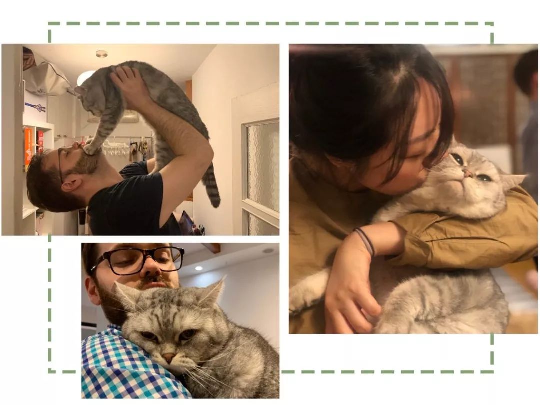 11月好物爆款,11月好物推荐最新爆款