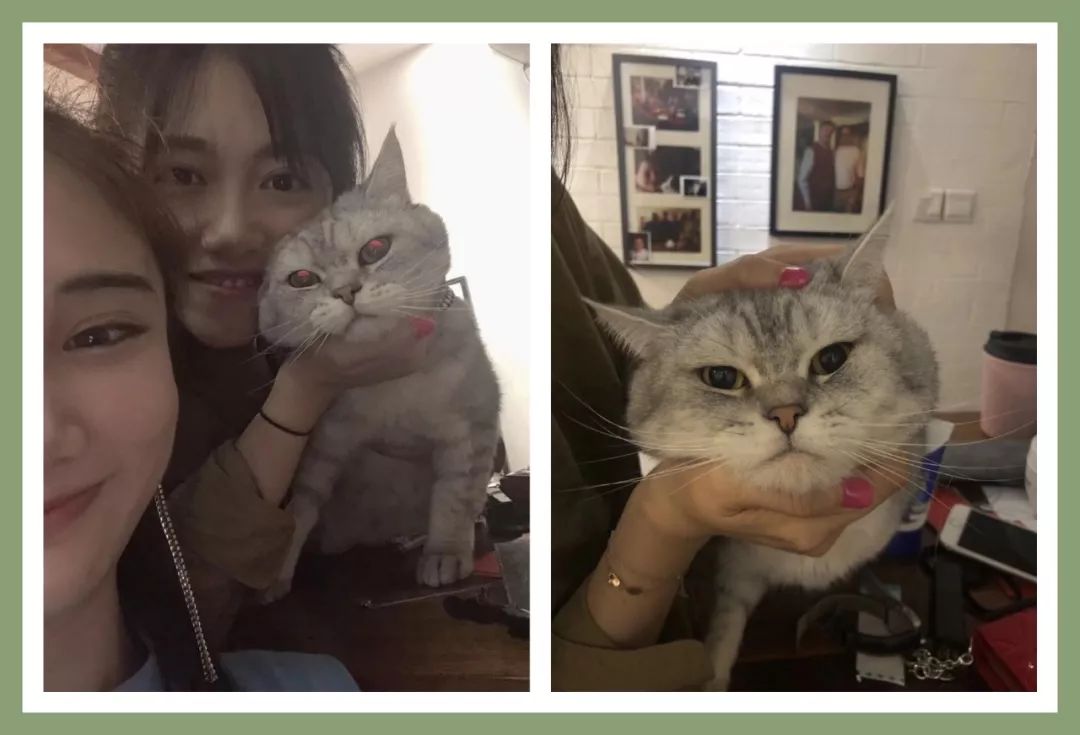 11月好物爆款,11月好物推荐最新爆款