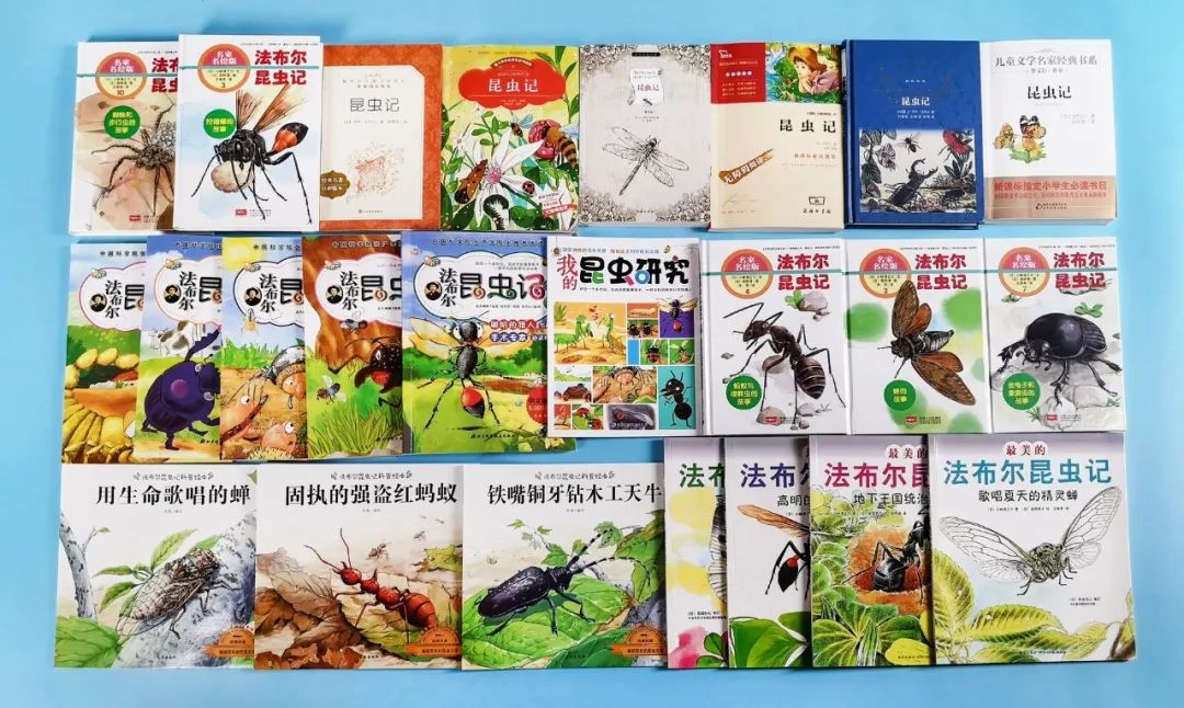 成长必读法布尔昆虫记,法布尔昆虫记书分享