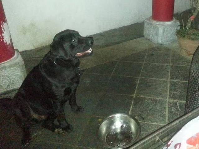 泸沽湖虎跳峡香格里拉怎么坐车,丽江香格里拉泸沽湖虎跳峡