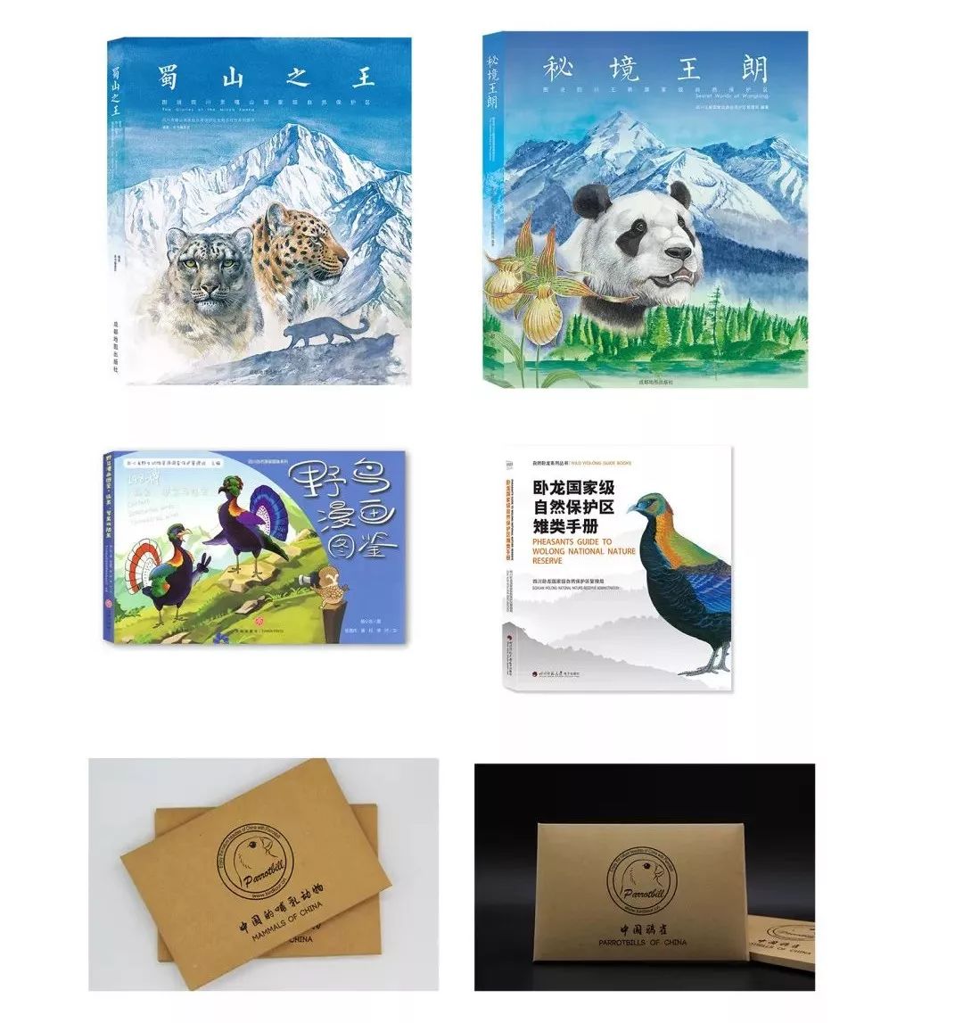 劲草嘉年华最新视频,2023年劲草嘉年华