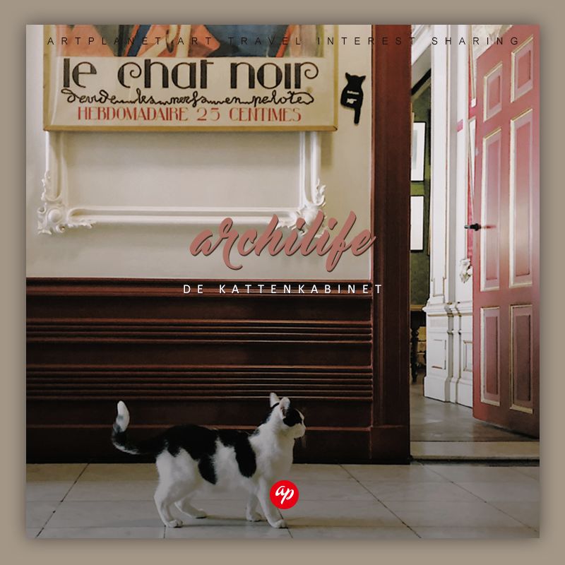 各种猫咪的博物馆,猫咪博物馆都有哪些猫