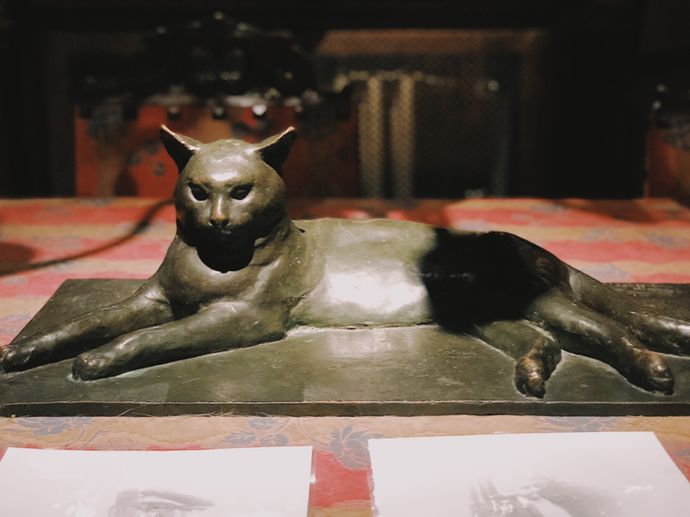 各种猫咪的博物馆,猫咪博物馆都有哪些猫