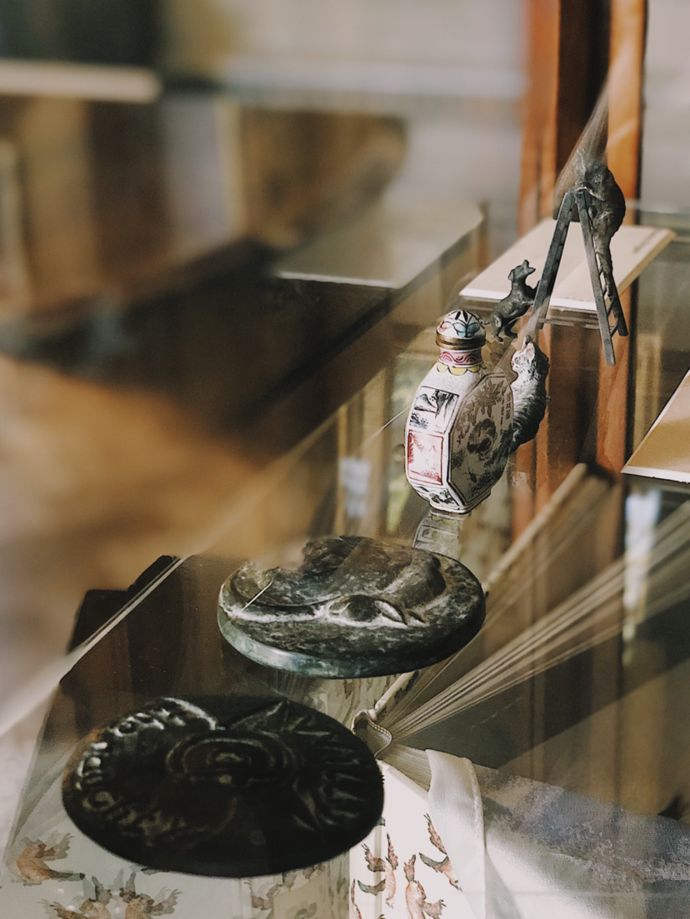 各种猫咪的博物馆,猫咪博物馆都有哪些猫