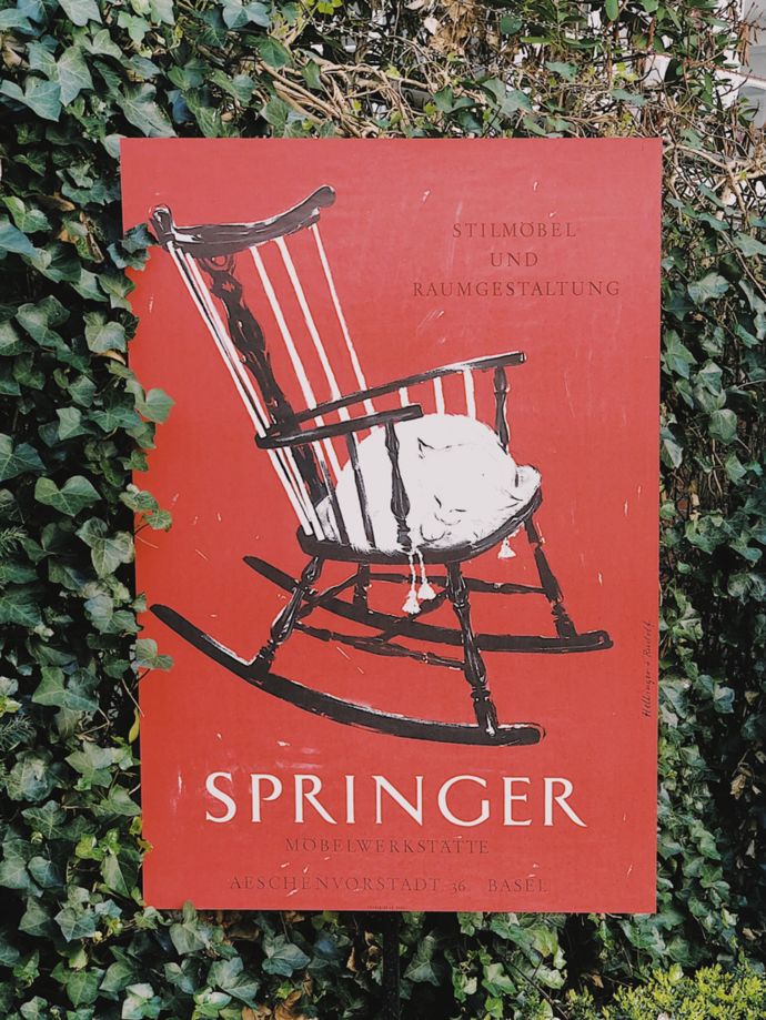 各种猫咪的博物馆,猫咪博物馆都有哪些猫