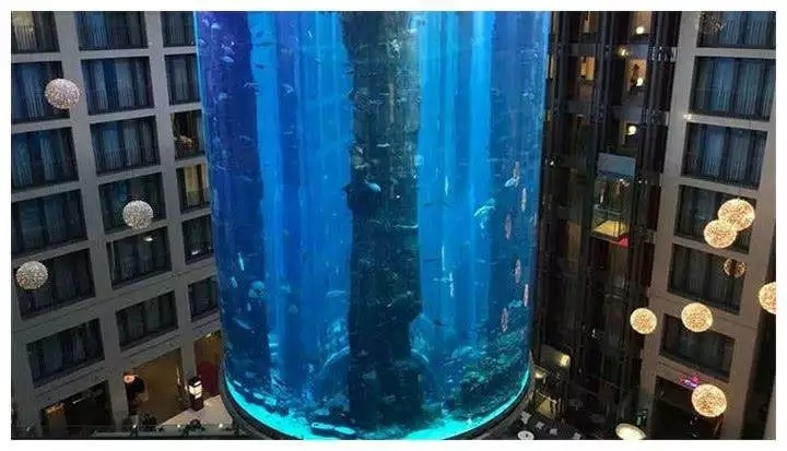 世界最大的鱼缸有多大,世界上最大的巨型鱼缸