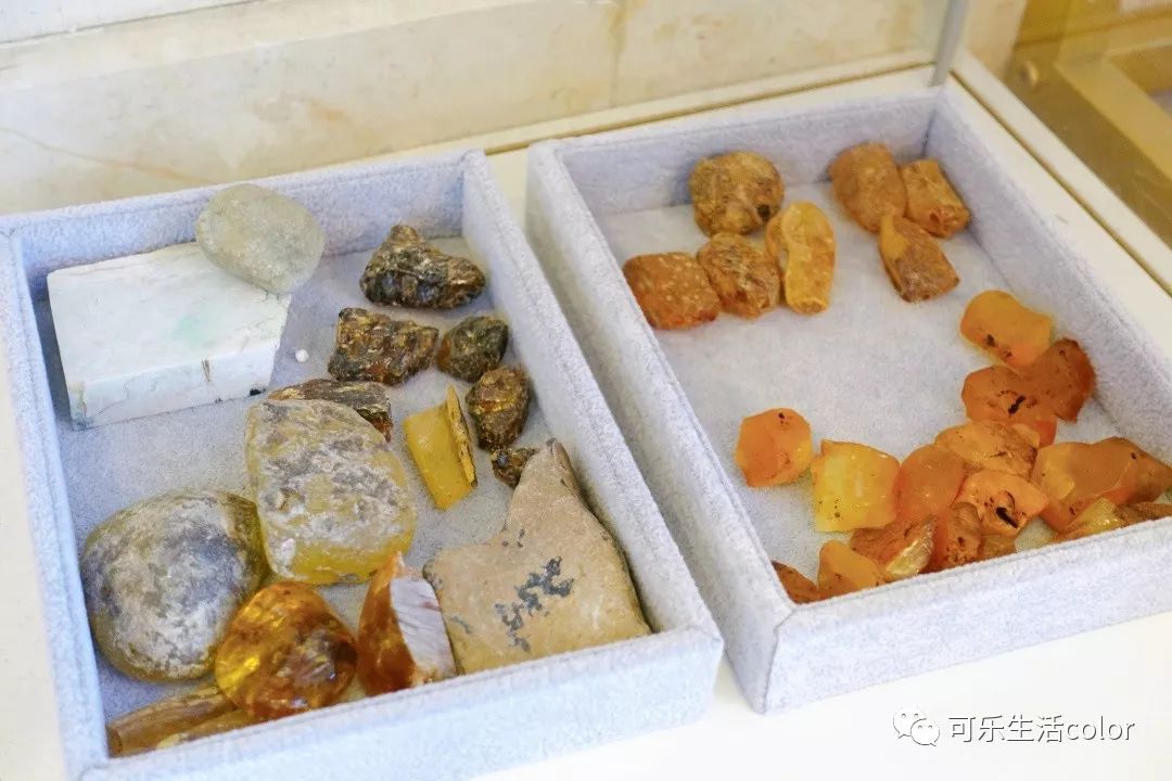 鲜活蚌珍珠探店,珍蚌开蚌珍珠diy体验馆从化