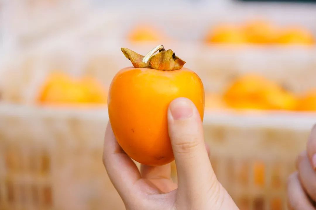 补货啦！柿饼界的小花旦，果冻Q心