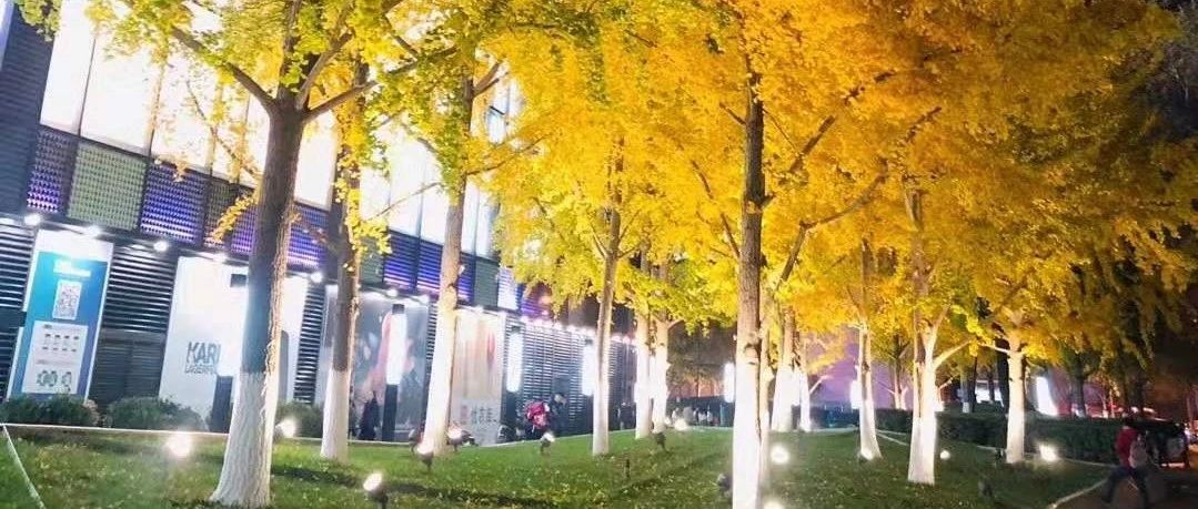 股票期权交易试点管理办法20150109