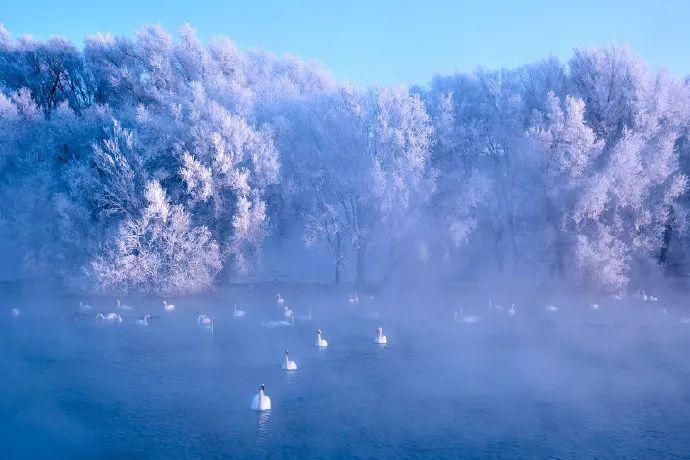 你问我答丨11月地理君小课堂合集