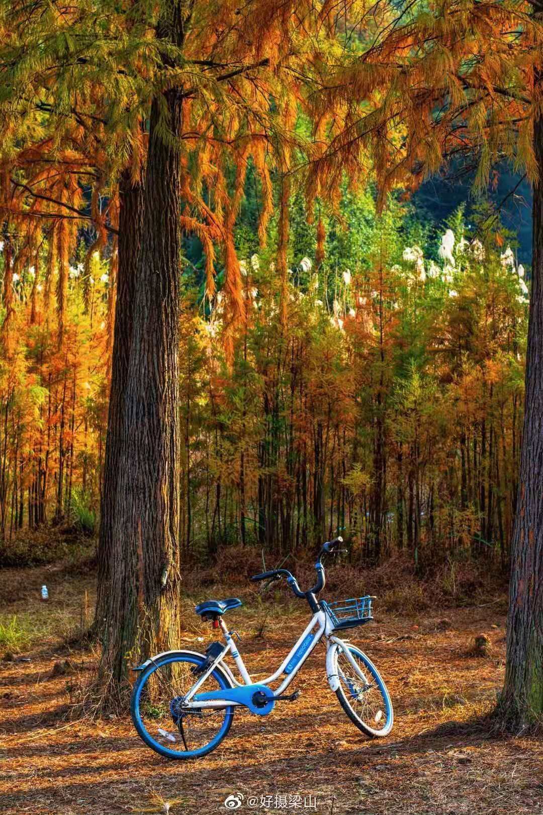 长沙梅溪湖拍照的网红打卡地,长沙梅溪湖网红打卡地在哪个站下