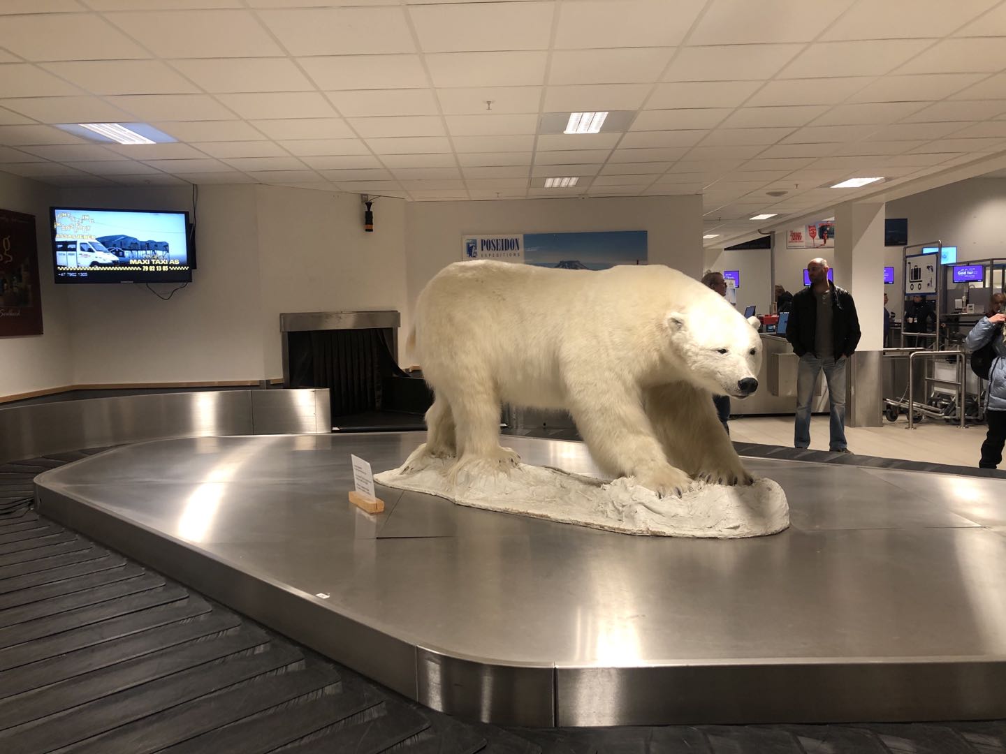 斗鱼直播河北,斗鱼直播北极