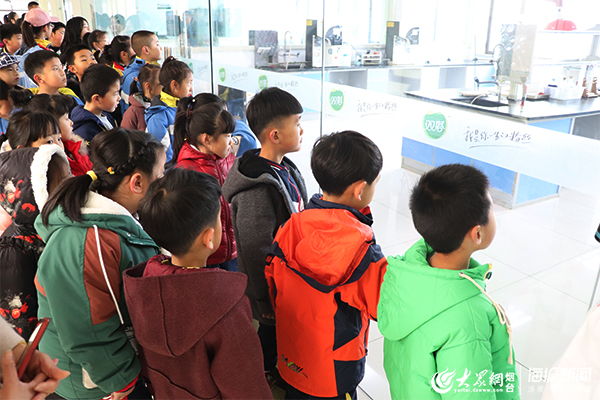 海燕小记者走进中国龙口粉丝博物馆开展公益研学活动