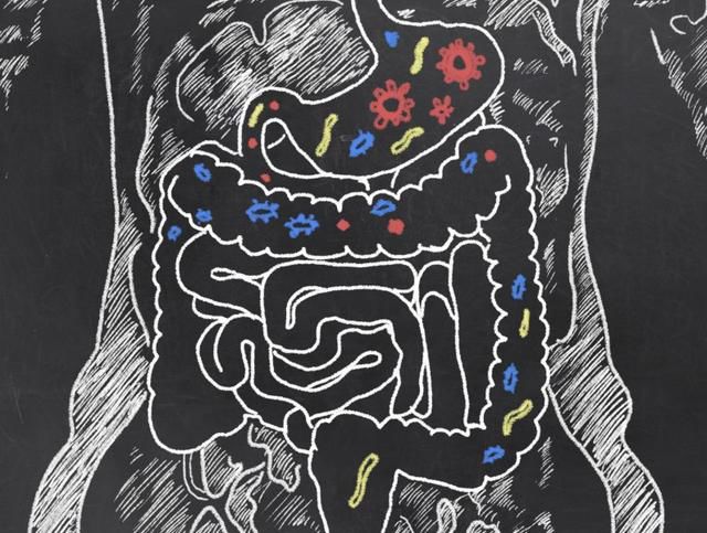 人体菌群也存在“男女”之分？