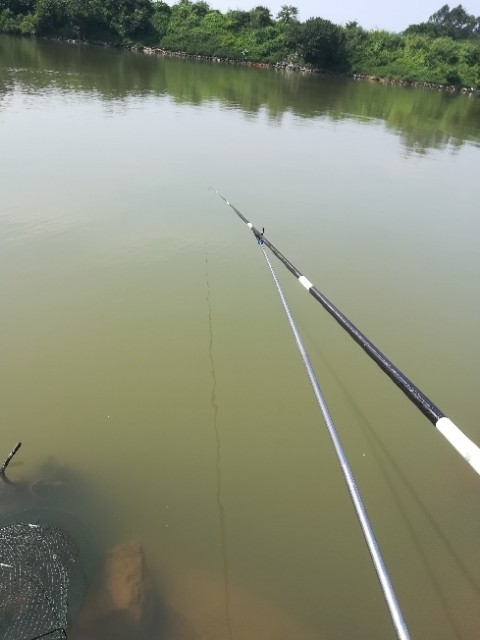 野钓常买的鸡肋钓具误区,新手入门如何选钓具