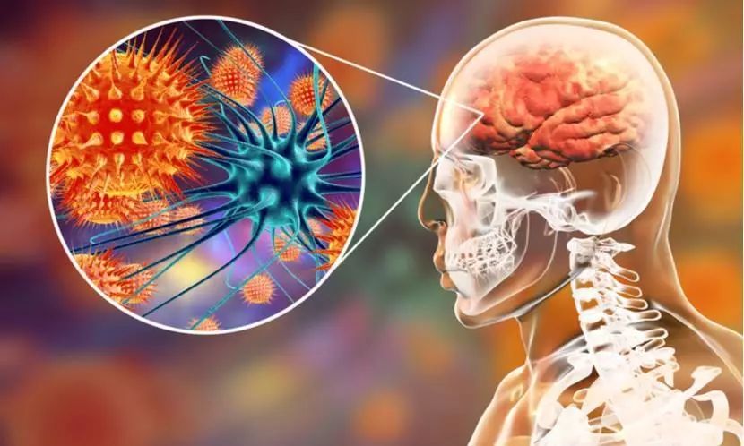 唇周痘痘挤出白色条状物,挤唇周的痘痘会脑膜炎吗