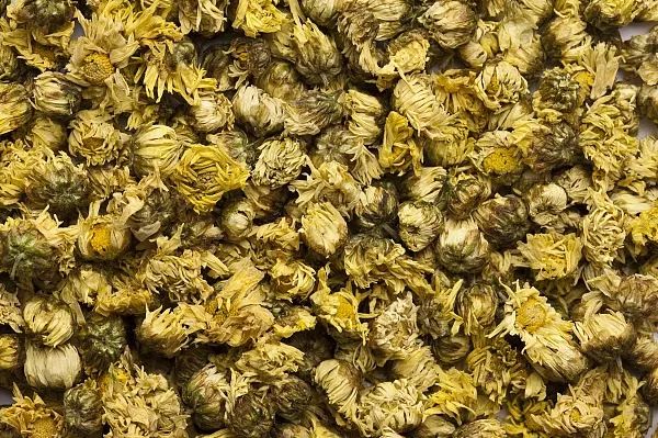 哪种菊花茶清热去火效果最好,蒲公英和菊花茶能清热去火吗