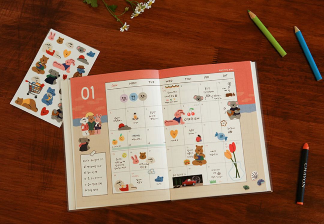 霓虹国排名,霓虹最好用的套装