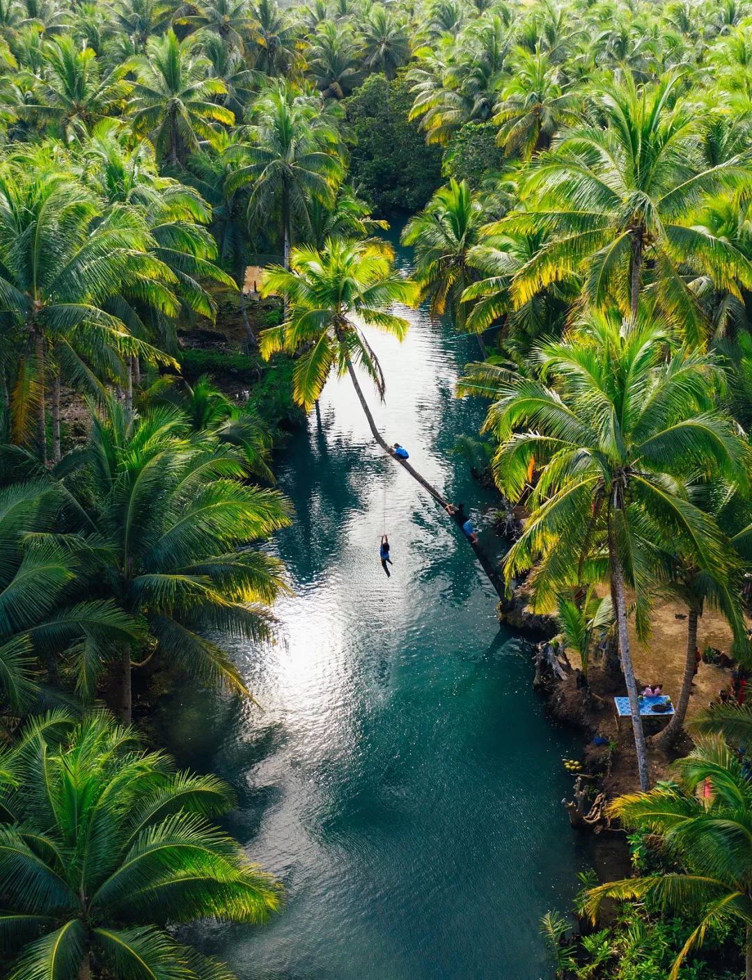 菲律宾塑料破碎,菲律宾碎尸案