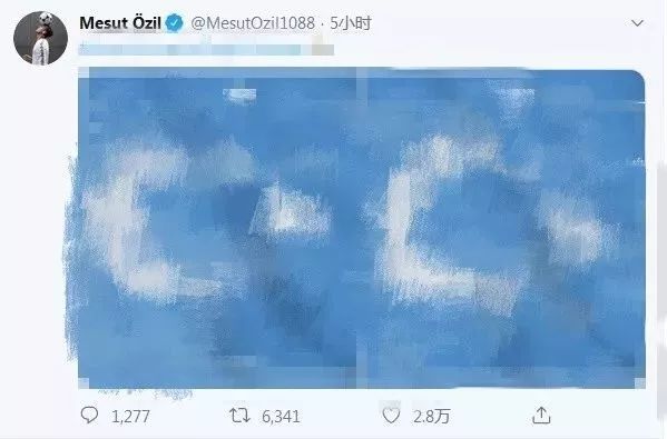 梅苏特·厄齐尔涉华言论,厄齐尔发表主权言论