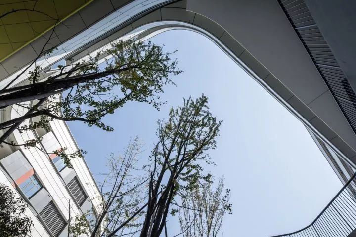 拒绝“千校一律”,浙大教院附中完成漂浮立体校园