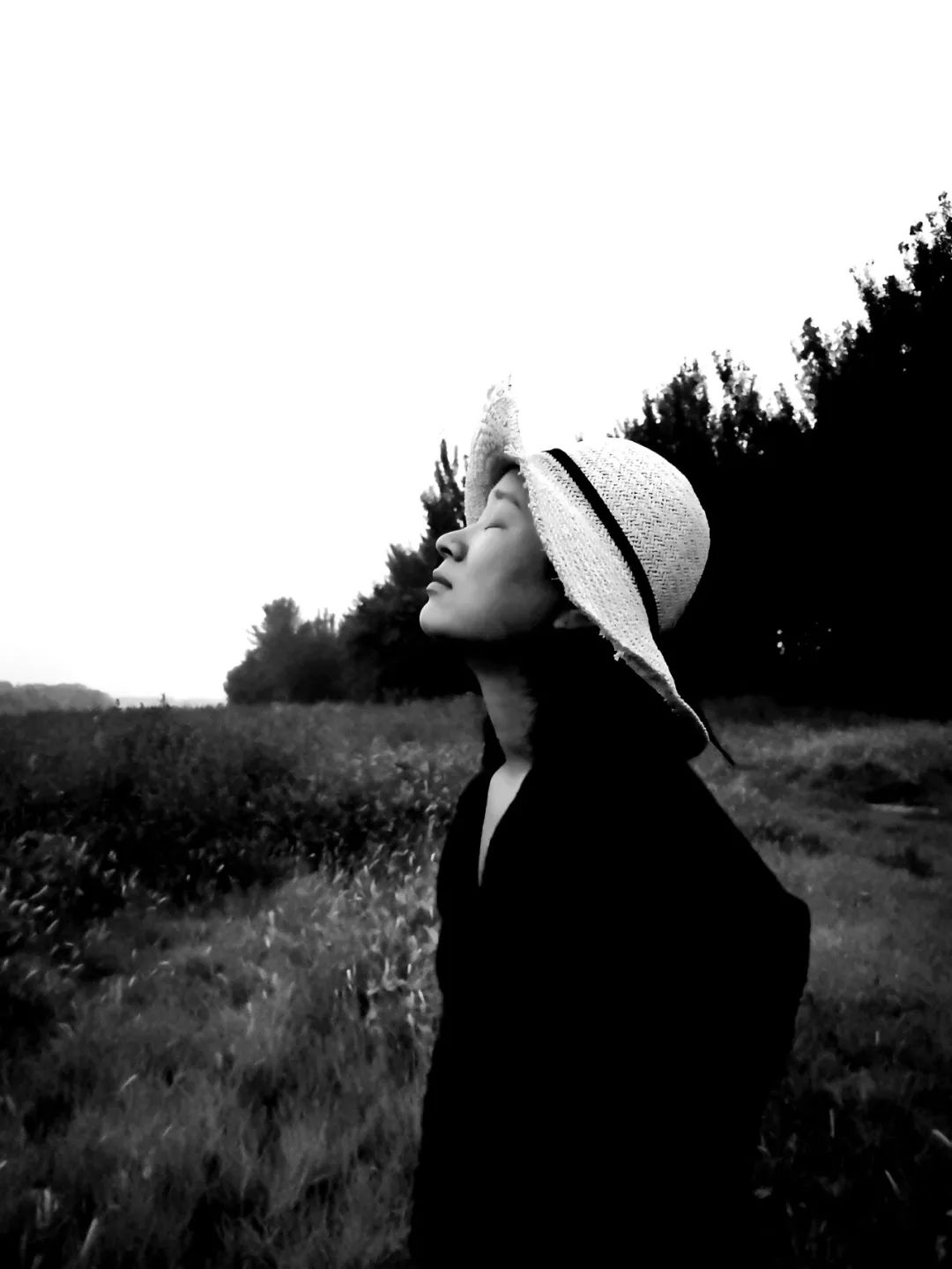 刘艳全部作品,时尚一族刘艳的作品