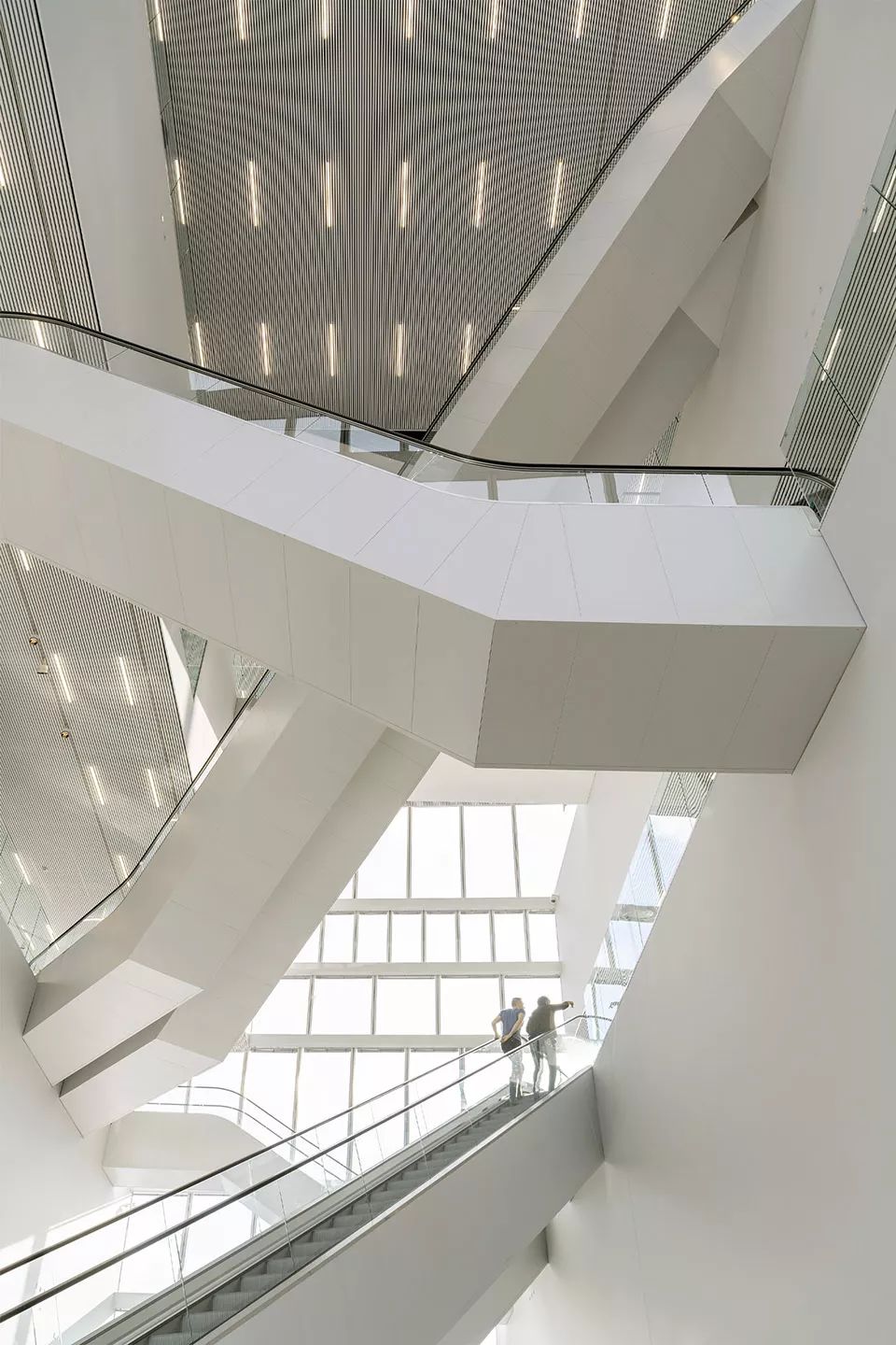 鏍肩綏瀹佹牴,鏍肩綏瀹佹牴forum