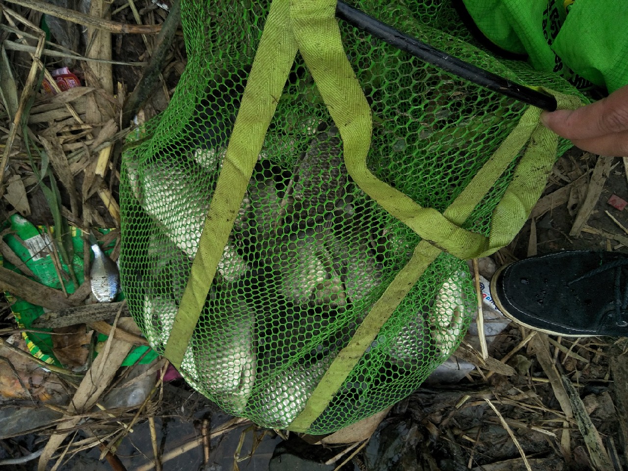 矶竿浮球钓法,矶竿岸筏怎么用