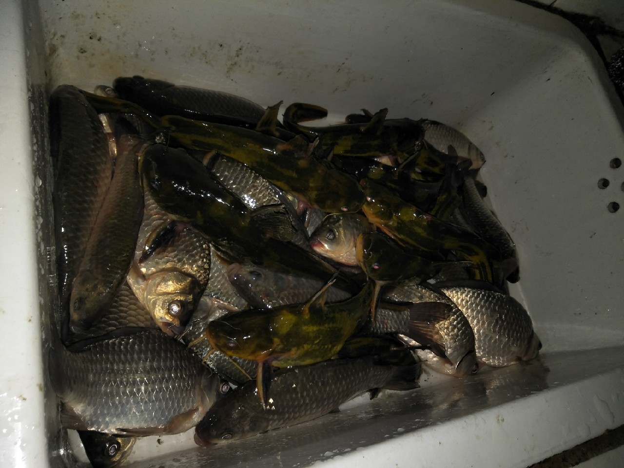 矶竿浮球钓法,矶竿岸筏怎么用