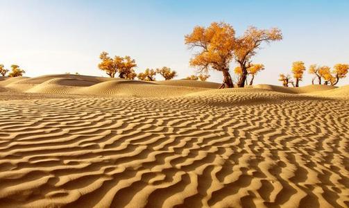 去沙漠可能遇到的危险,去沙漠迷路了怎么报警