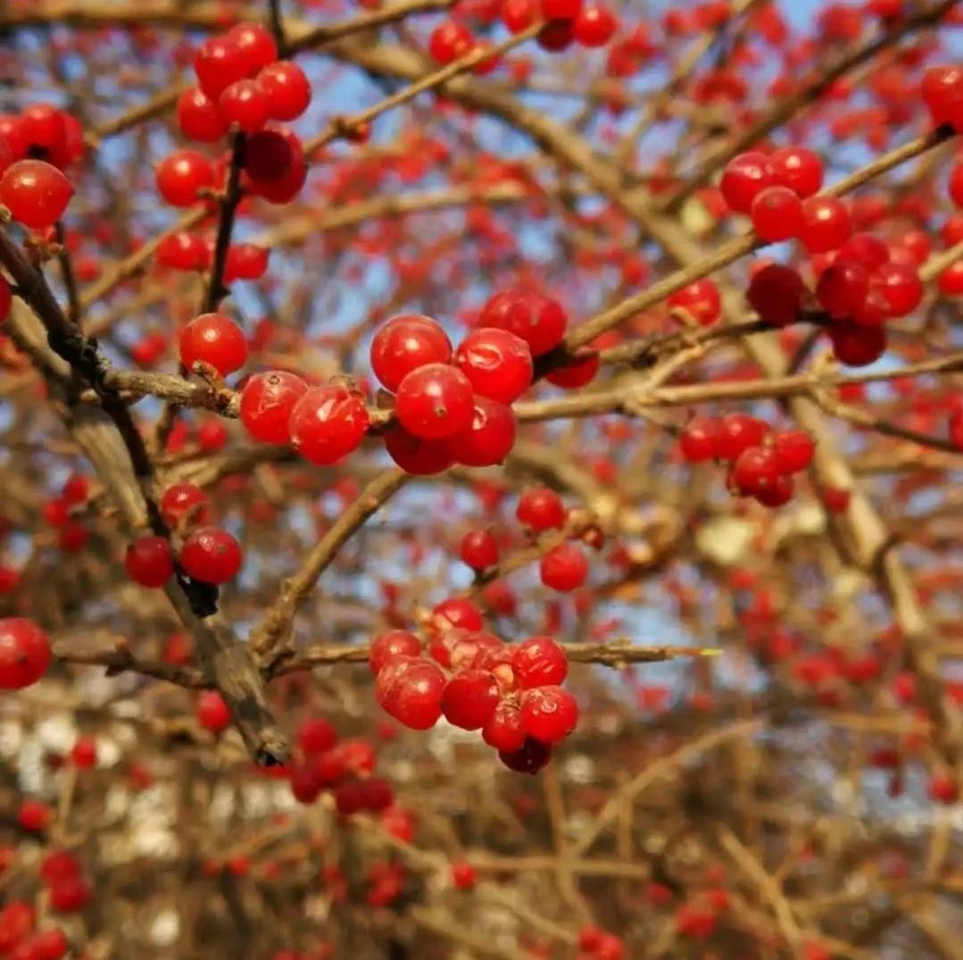 雄安新区火车站视频,雄安新区的火车站