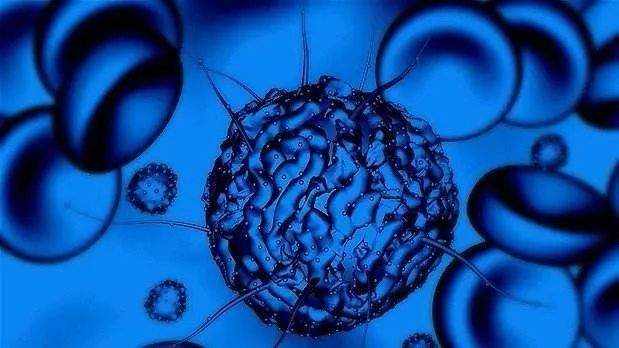 癌症患者都有癌症干细胞吗,干细胞可以治疗癌症吗