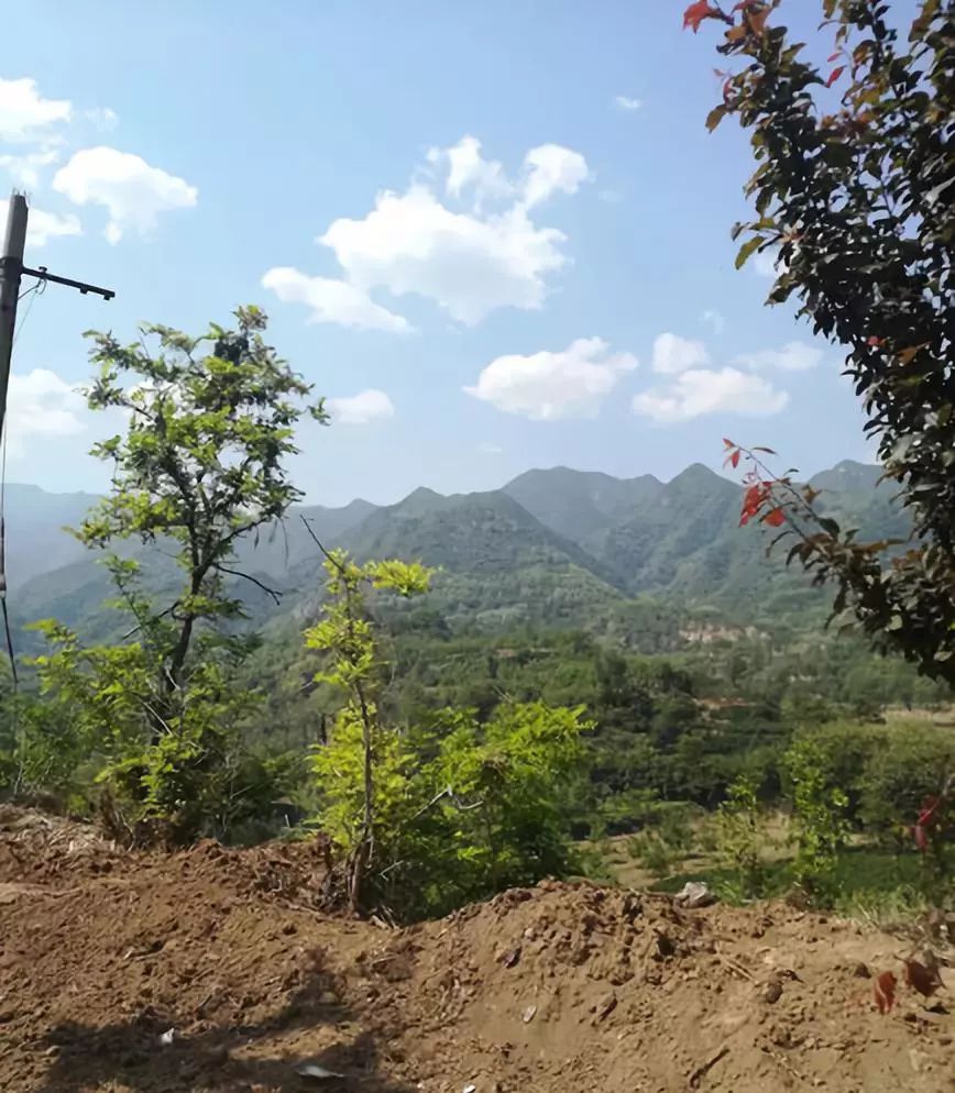 峪的读音和含义,峪的意思和含义