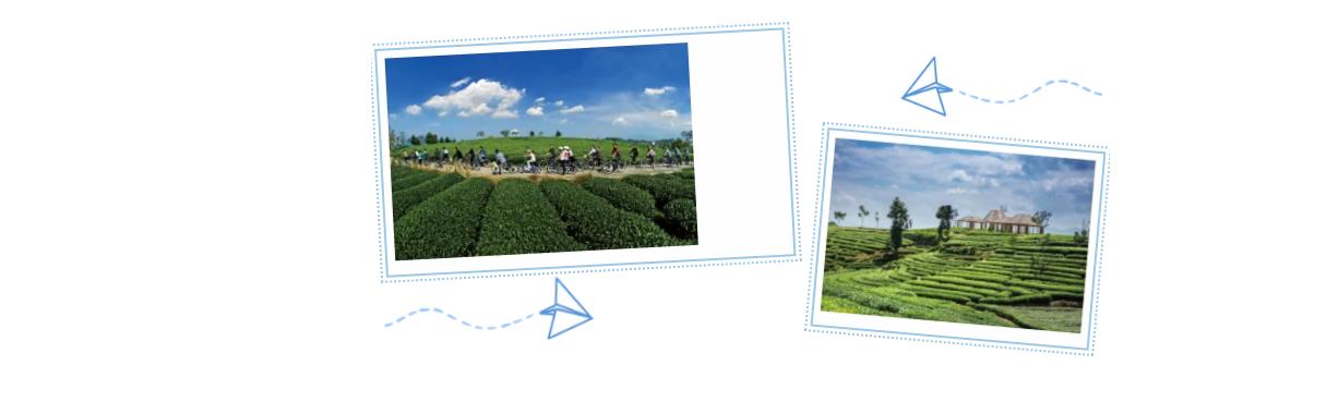 松阳古村落古树人家风景美如画,松阳千年古村落