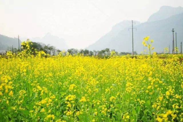 2020骞翠綑棰濆凡涓嶈冻,2019骞村凡浣欓涓嶈冻