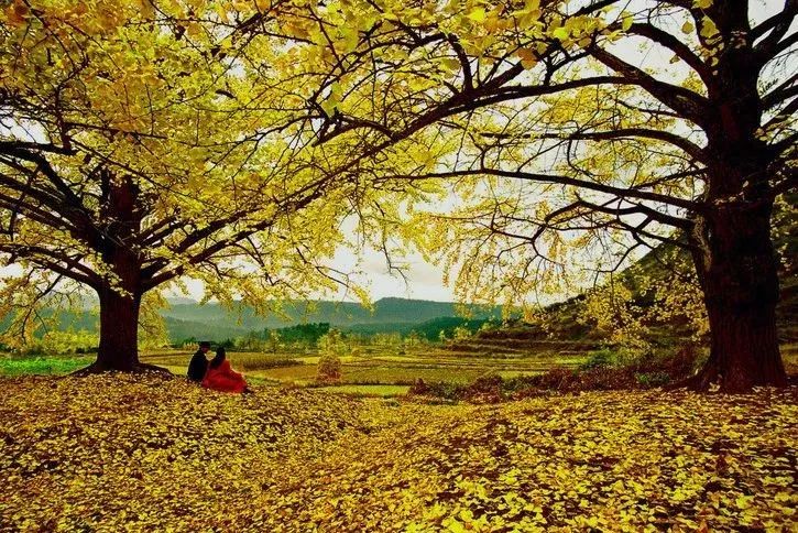 2020骞翠綑棰濆凡涓嶈冻,2019骞村凡浣欓涓嶈冻