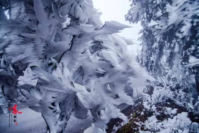 2020骞翠綑棰濆凡涓嶈冻,2019骞村凡浣欓涓嶈冻