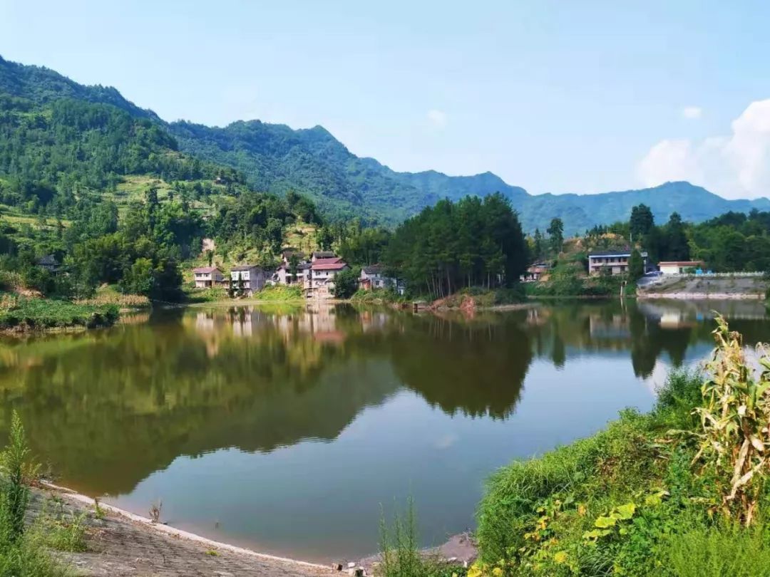 让农村人居环境更优美,让乡村生态环境更美