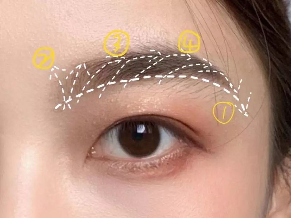 怎么判断是什么颜系,快来自测你属于哪种颜系