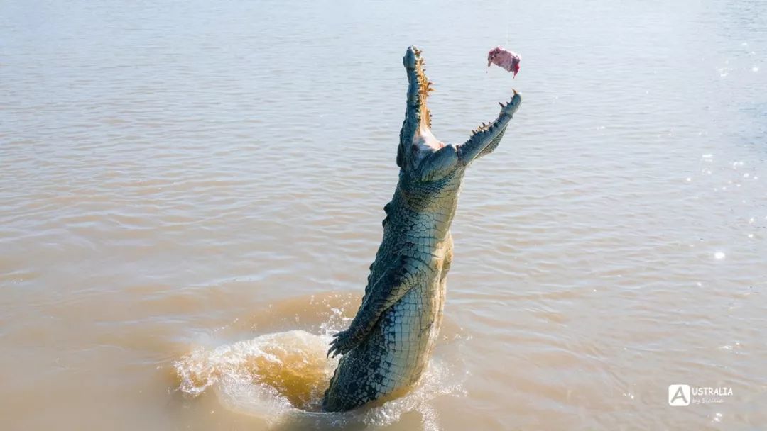 澳洲必去的几个地方,澳大利亚哪些景点值得去