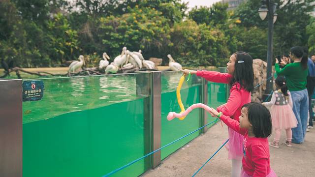 珠海长隆海洋王国海底夜宿,珠海长隆海洋王国鲸鲨馆海底区
