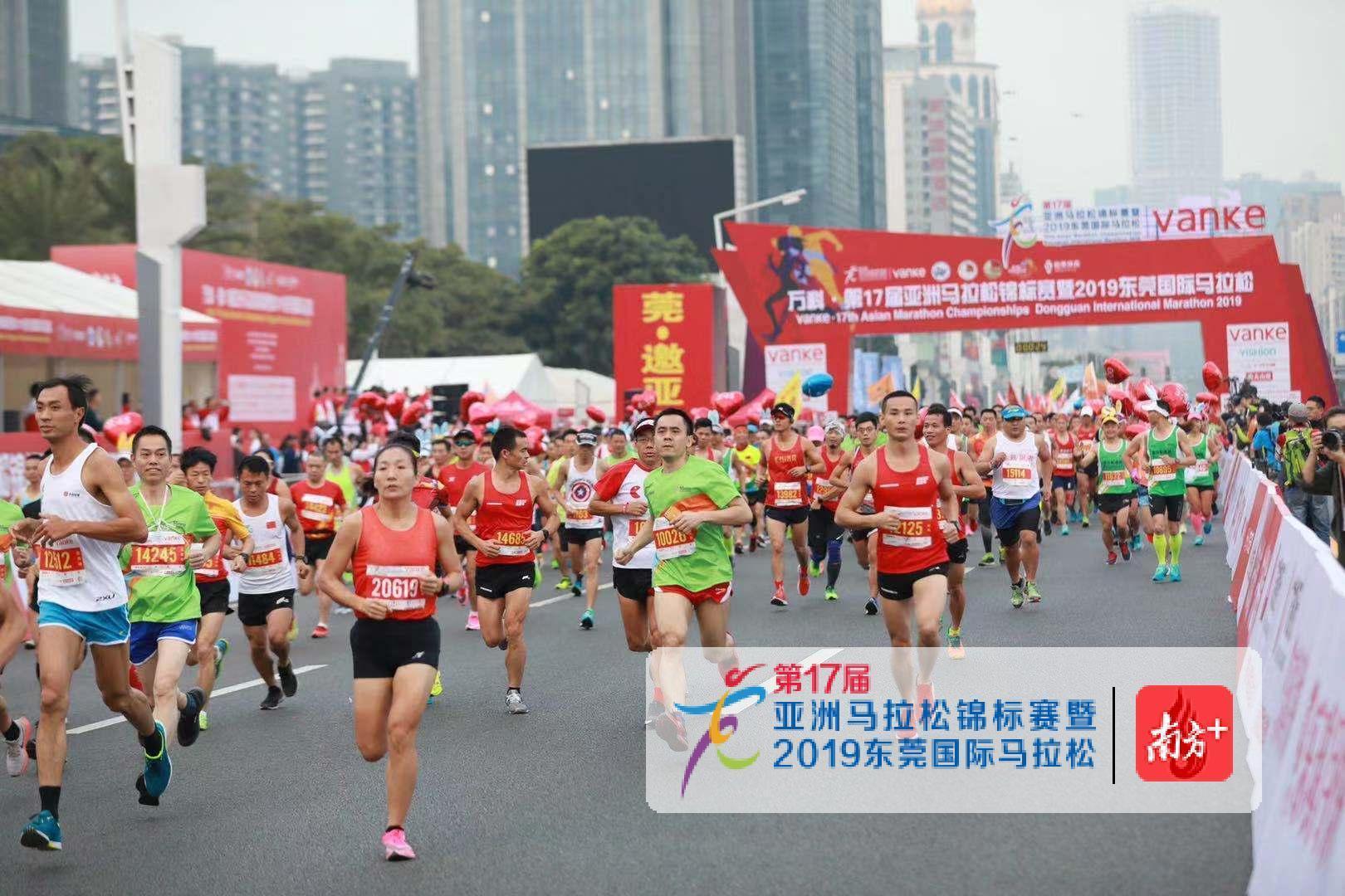 广东东莞精彩赛事,东莞高水平赛事