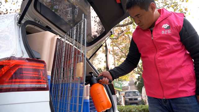 宠物也有专车司机了？一人一车，一年搭载6000多位宠物乘客