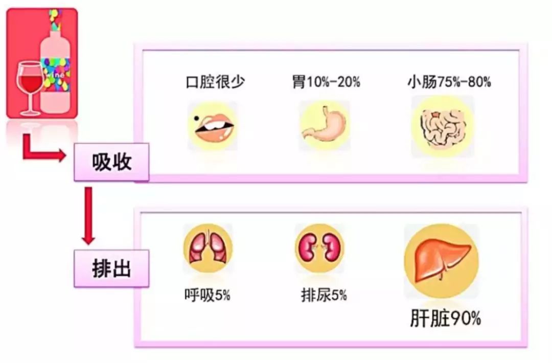 万事屋活动结束,万事屋活动第四天